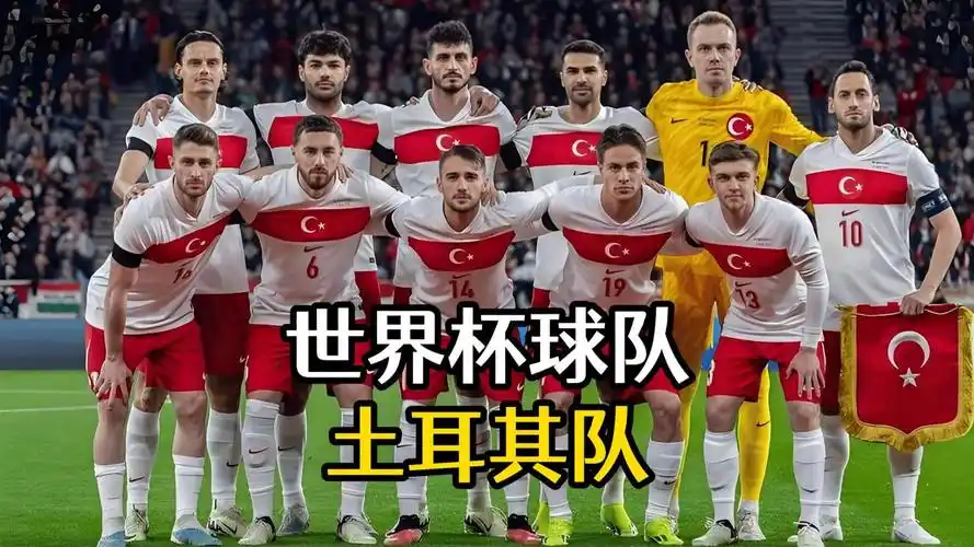 世界杯D组暗藏杀机：土耳其青年军崛起，四队混战争出线
